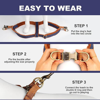 Beirui Soft Small Dog Harness and Leash Set-Adjustable Step in Dog Harness for Small Dogs-Easy Walk Dog Harness Small Sized Dog-Warm No Pull Dog Harness and Leash Used in Autumn Winter(Dark Blue,S)