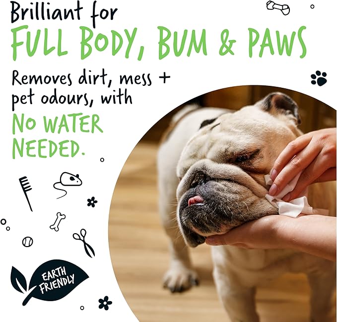 Dog Wipes, 100% Plastic Free Biodegradable pet Wipes for Full Body, Eye Wipes, Ear Wipes, Bum & Paws. 110 Sensitive Dog Grooming Wipes for Dogs, Puppy & cat Grooming (Fragrance Free)