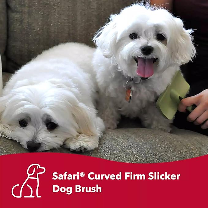 Coastal Dog Slicker Brush, Green - Grooming Brush for Dogs of All Hair Types, Pet Brush for Shedding - Curved Design for Easy Detangling - Non-Slip Handle, 6.75'' x 4.25''