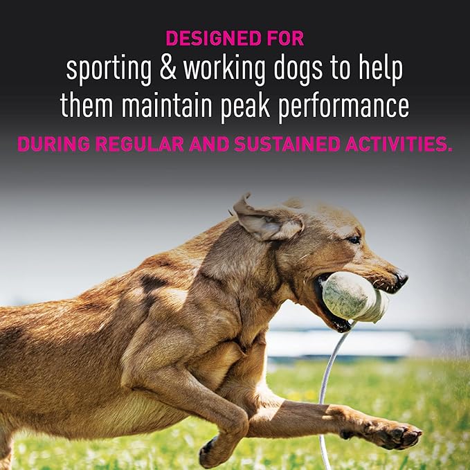 Eukanuba Premium Performance 30/20 Sport Dry Dog Food, Dry Dog Food with Protein and Fat to Support Optimal Energy, 28 lb Bag