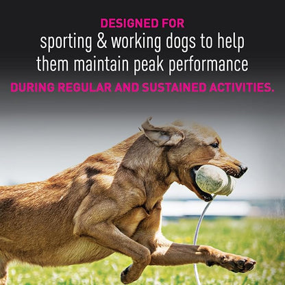 Eukanuba Premium Performance 30/20 Sport Dry Dog Food, Dry Dog Food with Protein and Fat to Support Optimal Energy, 28 lb Bag