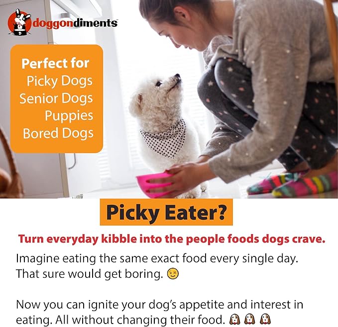 Southern Fried Chicken Flavor Dog Food Topper, Fun People Food Flavors, Powder, Dog Condiments for Meals, Dog Food Toppers for Dogs for Small & Large Breeds,