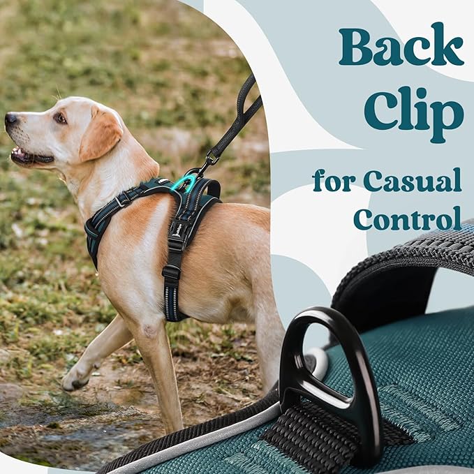 rabbitgoo Dog Harness Small Sized, No Pull Pet Harness with 3 Buckles, Adjustable Soft Padded Dog Vest with Instant Control Handle, Easy Walking Reflective Pet Vest for Small Dogs, Blue Coral, S