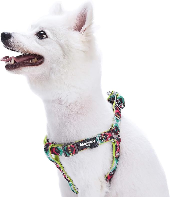 Blueberry Pet 2 Colors Soft & Comfy Step-in Southwestern Vintage Tribal Print Padded Dog Harness, Chest Girth 23.5" - 29.5", Extravagant Green, M/L, Adjustable Harnesses for Dogs