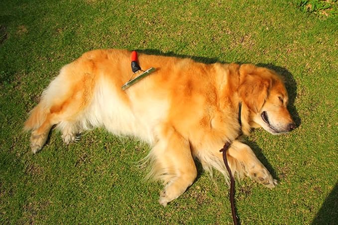Pet Extra-Large Rake Comb Grooming Brush Deshedding Beauty Tool For Large Dogs Golden Retriever Husky German Shepherd