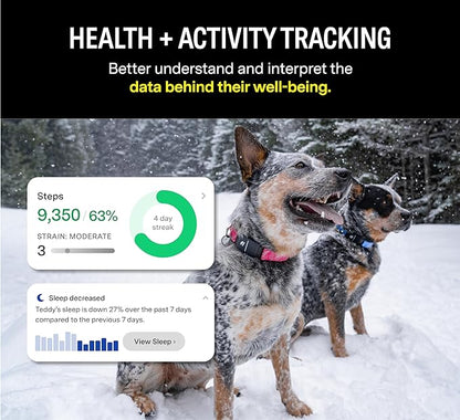 Fi Series 3 Smart Dog Collar - GPS Dog Tracker and Activity & Health Monitor, Waterproof, LED Light, Escape Alerts, Nationwide Coverage [Free 1 Year Membership] (Pink, Small)