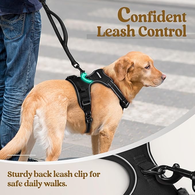 rabbitgoo Dog Harness, No-Pull Pet Harness with 2 Leash Clips, Adjustable Soft Padded Dog Vest, Reflective No-Choke Pet Oxford Vest with Easy Control Handle for Small Dogs, Black, S