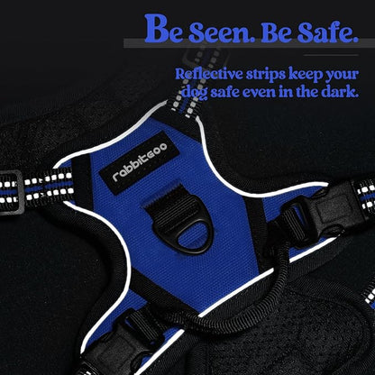 rabbitgoo Dog Harness, No-Pull Pet Harness with 2 Leash Clips, Adjustable Soft Padded Dog Vest, Reflective No-Choke Pet Oxford Vest with Easy Control Handle for Small Dogs, Dazzling Blue,XS