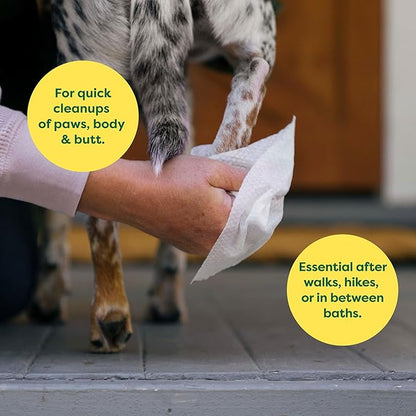 Earth Rated Hypoallergenic Dog Grooming Wipes for at Home & On-The-Go, for Paws, Body & Butt, Includes 4 Travel and Full Sized Packs, 440 Count