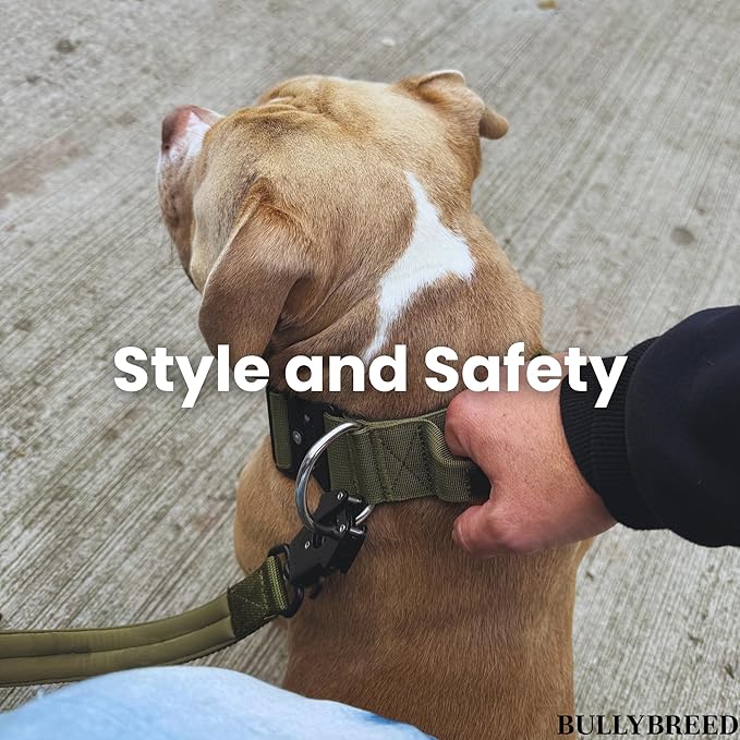 BULLYBREED Premium Dog Colar with Handle, Heavy Duty Dog Collar, Tactical Dog Collar, Quick-Release Metal Buckle, Thick Dog Collar, Dog Collar for Medium Dogs, Dog Collar for Large Dogs (Tan, M)