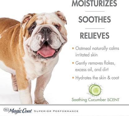 Four Paws Magic Coat Dog Shampoos for Dogs, Dog Grooming Supplies, Dog Bathing Supplies, Made in USA (Pack of 2)