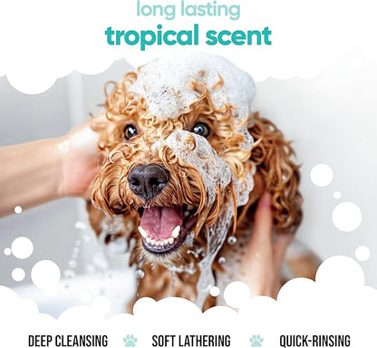 Tropical Dog Shampoo by Buddycare | Deep Cleansing Shampoo for Dogs | Tropical Scented | with Aloe Vera and Pro Vitamin B5 (169.07oz)