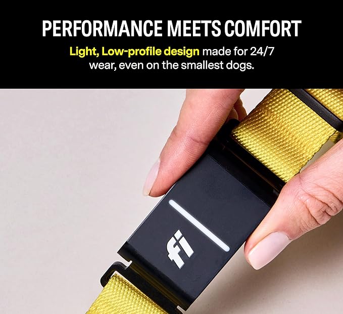 Fi Series 3 Smart Dog Collar - GPS Dog Tracker and Activity & Fitness Monitor, Waterproof, LED Light, Escape Alerts, Nationwide Coverage [Free 6 Month Membership] (Gray, Large)