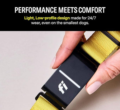 Fi Series 3 Smart Dog Collar - GPS Dog Tracker and Activity & Fitness Monitor, Waterproof, LED Light, Escape Alerts, Nationwide Coverage [Free 6 Month Membership] (Gray, Large)