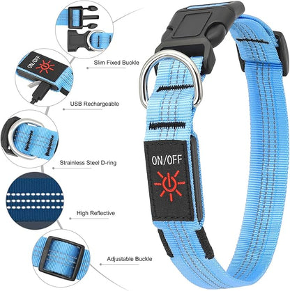 Light Up Dog Collar - BSEEN LED Dog Collar Rechargeable Lighted Dog Collar Reflective Glow Collars for Dogs, Super Bright Dog Lights for Night Walking (Blue-II, Large)