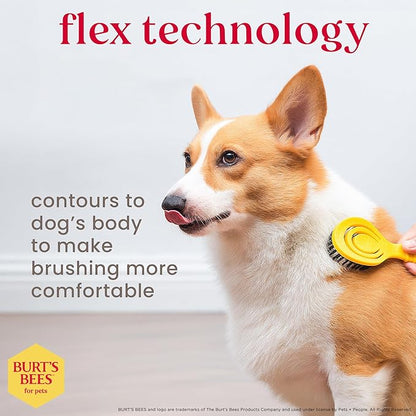 Burt's Bees for Pets Small Bristle Brush with Natural Boar’s Hair & Nylon | Handle Made from Recycled Plastics Collected from Coastal Communities | De-Shedding Eco Friendly Dog Grooming Brush