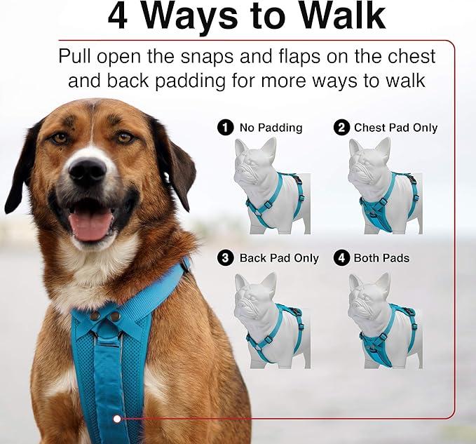Voyager Freestyle 4-in-1 Dog Harness - Patent Pending Adjustable Webbing Harness with Removable Padding for Small to Large Dogs by Best Pet Supplies - Fuchsia, S