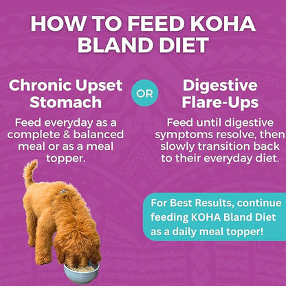 KOHA Limited Ingredient Bland Diet for Dogs, Beef and White Rice Recipe Sensitive Stomach Wet Dog Food, Gentle Formula Easy to Digest Bland Diet Dog Food, Pack of 6