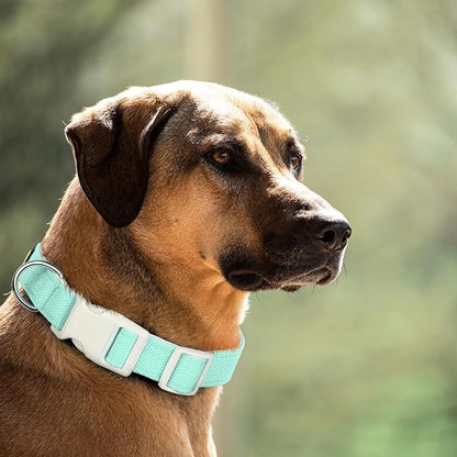 Plutus Pet Cotton Dog Collar, Heavy Duty Collar with Soft Padding, Adjustable and Comfortable for Small Medium and Large Dogs, Light Cyan, XS