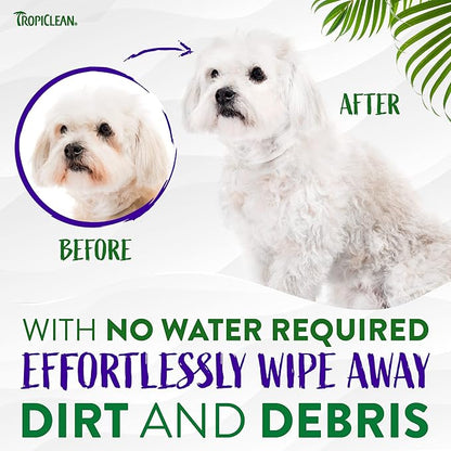 TropiClean Warm Vanilla Waterless Facial Cleanser for Dogs | Dog Foam Face Wash | Dog Face Wash Derived from Natural Ingredients | Cat Friendly | Made in the USA | 7.4 oz.
