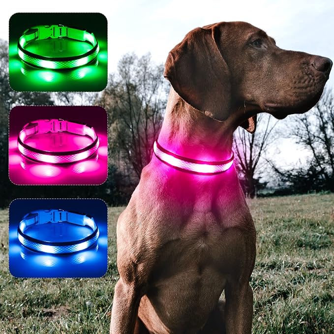 BSEEN Light Up Dog Collar - Reflective LED Dog Collar Light, Adjustable Glowing Puppy Collar, Rechargeable Dog Camping Gear Dog Walking Lights for Small Medium Large Dogs (Small, Pink Ⅱ)