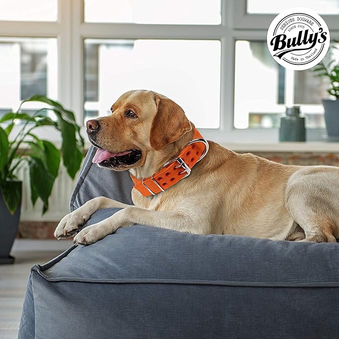 Pit Bull Collar, Dog Collar for Large Dogs, Heavy Duty Nylon, Stainless Steel Hardware (Large-1.5 Inches Wide, Orange Juice)