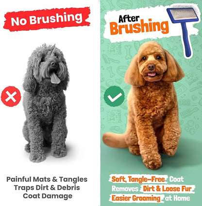 Slicker Brush for Dogs - Doodle Brush - Goldendoodles Labradoodles Bernedoodles - Goldendoodle Must Haves - Poodle Comb and Cases Included - Medium - Blue