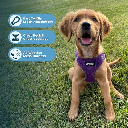 Voyager Step-in Air Dog Harness - All Weather Mesh, Reflective, No Pull Harness for Small, Medium Dogs, Cats - Secure with Hook & Loop Fastener, Buckle, Double D-Rings - Purple, S
