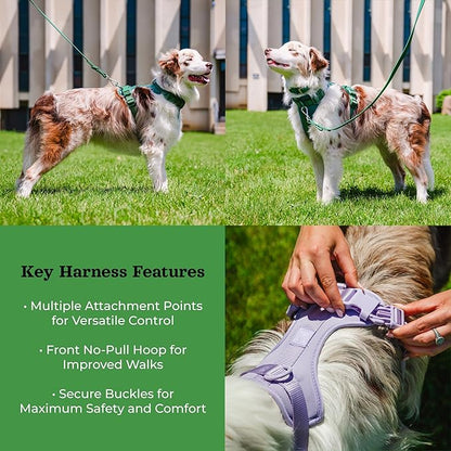 Dog Harness and Leash Set | BearBone No Pull Dog Harness and Waterproof Dog Collar and Leash Set | Heavy Duty Dog Harness, Leash and Collar | Medium Dog Harness, Leash and Collar (Green, Medium)