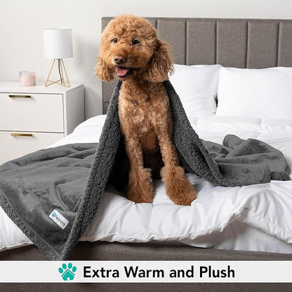 PetAmi Dog Blanket for Bed, XL Pet Blanket Large Dogs, Fleece Furniture Couch Cover Protector Sofa Car Crate Kennel, Soft Sherpa Cat Throw Plush Reversible Washable, Twin 60x80 Solid Dark Gray