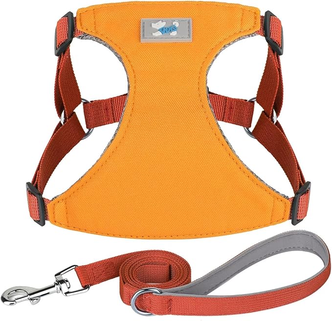 Beirui Small Dog Harness and Leash Set, No Pull Step-in Harness for Puppy, Lightweight Air Mesh Pet Harness for Medium Dogs (Yellow, M)