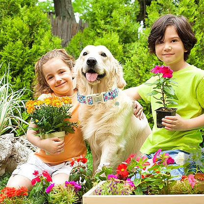 Lionheart glory Dog Collar Flowers Print Dogs Collar Spring Summer Cute Collars Dog Girl or Boy Soft Durable Adjustable Dog Collars for Large Dogs Pet Gift