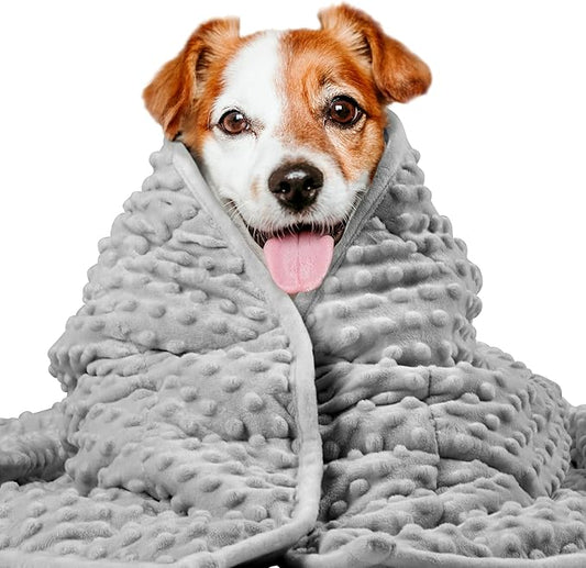 LaSyL Weighted Blanket for Pets | Thunder Blanket for Dogs Anxiety | Premium Soft Minky | Relaxation & Calming & Anti Anxiety | Used in Car, Bed, Couch | Dark Grey, Washable Medium 32" L x 40" W