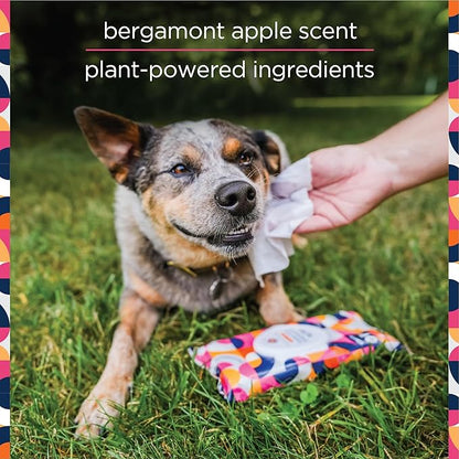 Pet Life Unlimited Pet Wipes for Dogs, Dog Cleaning Wipes - Plant-Based Dog Wipes with Moisturizing Aloe Leaf & Calendula - Made in The USA - Bergamot Apple Scent Dog Grooming Wipes - 40ct (Pack of 3)