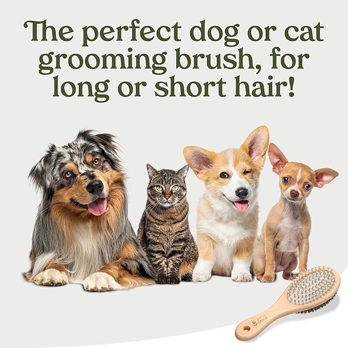PAWFUME 2-in-1 Cat & Dog Brush – Sculpt Salon-Soft Coats in Minutes – Rubber-Tipped Pins, Smooth Tangles, Wood-Handle Comfort, & Gently Massages Skin – Doubles as a Cat Brush for All Breeds
