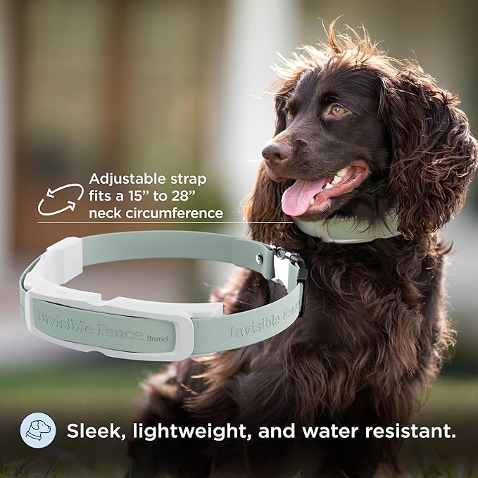 Invisible Fence GPS Dog Fence & Tracking Collar Bundle with Training Flags (White) & Treat Bag (Blue), Wireless GPS Tracker Collar, for Medium & Large Dogs, Waterproof - 1 Year Subscription Included