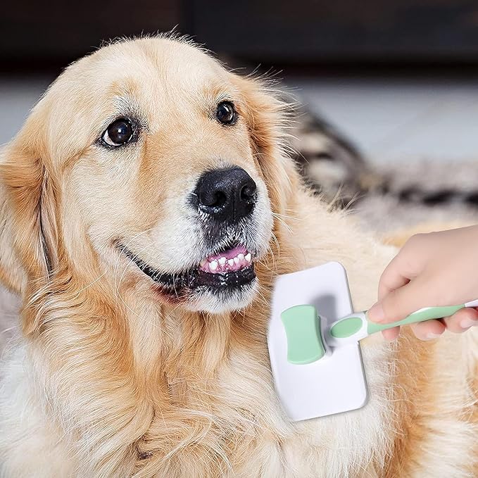 Self Cleaning Cat and Dog Grooming Brush for Pets, Dogs Brush with Massage Particles, Cleaning Grooming Brush for All Hair Lengths (Green)