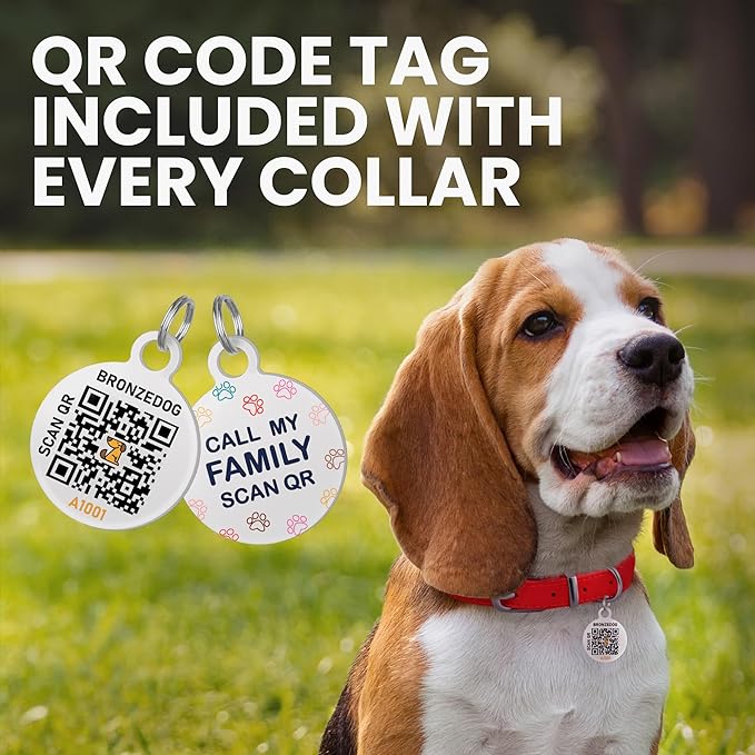 BRONZEDOG Rolled Leather Dog Collar with QR ID Tag Adjustable Soft Round Collars for Small Medium Large Dogs Puppy Cat (9" - 11" Neck Size, Denim)