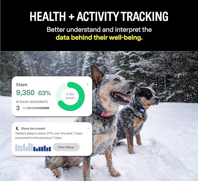 Fi Series 3 Smart Dog Collar - GPS Dog Tracker and Activity & Fitness Monitor, Waterproof, LED Light, Escape Alerts, Nationwide Coverage [Free 6 Month Membership] (Pink, X-Large)