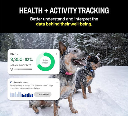 Fi Series 3 Smart Dog Collar - GPS Dog Tracker and Activity & Fitness Monitor, Waterproof, LED Light, Escape Alerts, Nationwide Coverage [Free 6 Month Membership] (Gray, Large)