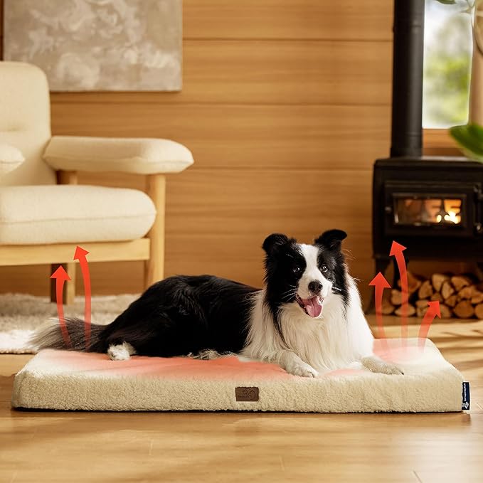 Bedsure Large Dog Bed for Large Dogs – Self Warming Orthopedic Dog Beds with Removable Washable Cover, Egg Foam Pet Bed Mat, Ashen Cream