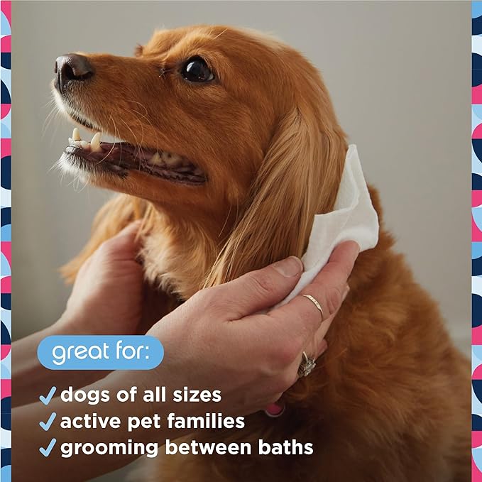 Pet Life Unlimited Dog Cleaning Wipes - Plant-Based With Moisturizing Aloe Leaf & Calendula - Made in The USA - Fragrance Free Dog Grooming - 72ct (Pack of 3)