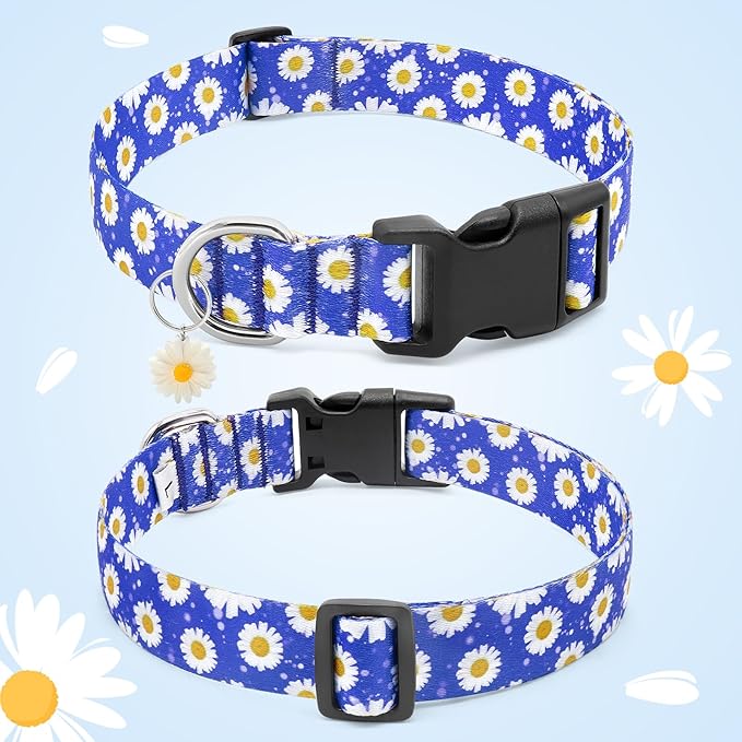 BiPawTi Cute Dog Collars with Flower Floral - Small Dog Collars for Puppies, Soft Dogs Collar for Girl Boy Female Dogs Pet with Pretty Daisies Charms (S, Blue)