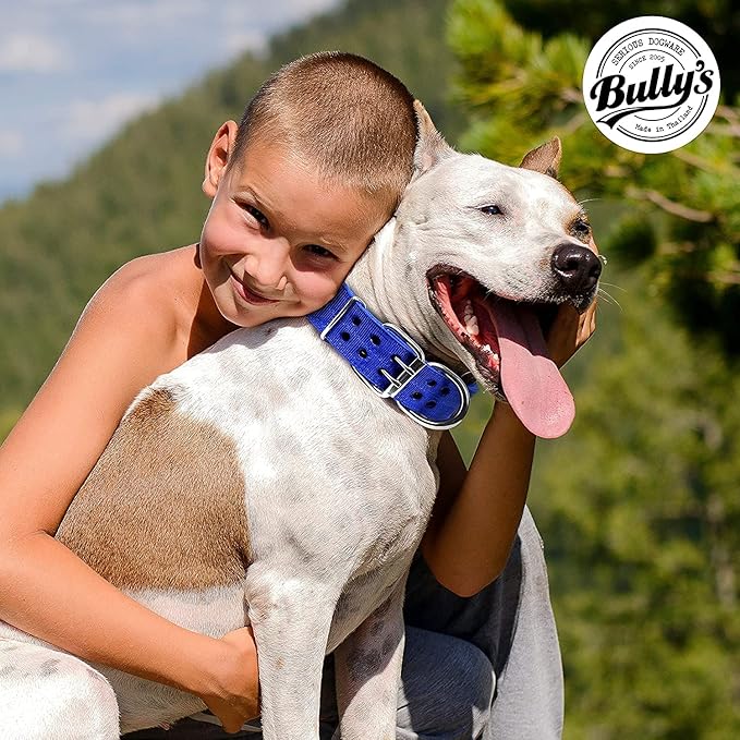 Pit Bull Collar, Dog Collar for Large Dogs, Heavy Duty Nylon, Stainless Steel Hardware (Medium, Sapphire Blue)