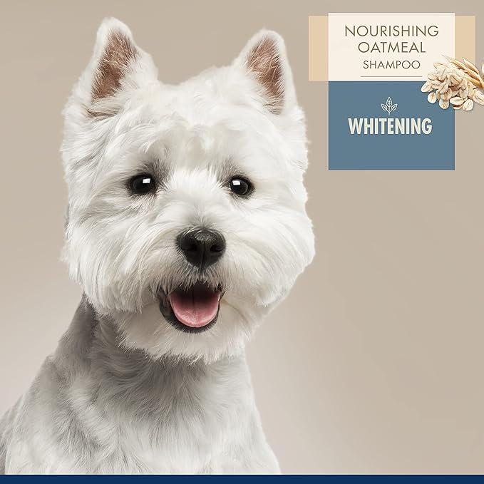 Four Paws Magic Coat Professional Series Nourishing Oatmeal Dog Whitening Shampoo, 16 oz.