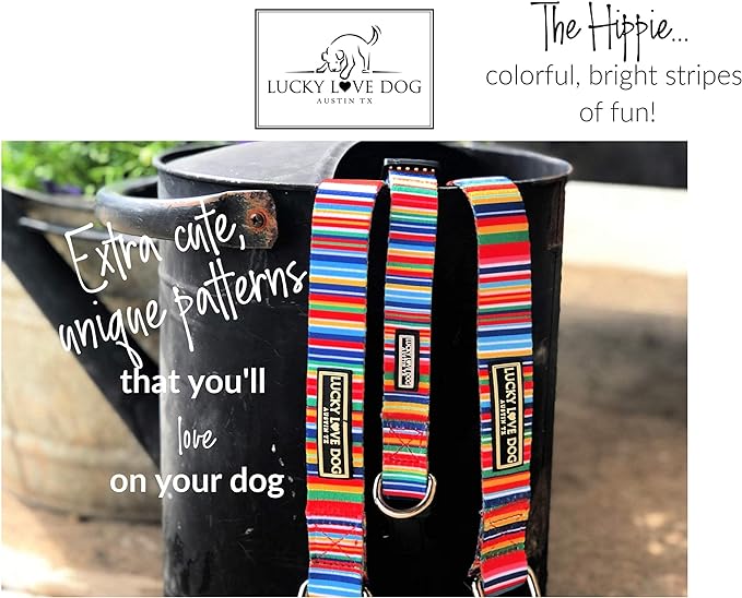 Lucky Love Dog Combo Set,Rainbow Dog Collar & Leash Set for X-Small Dogs, Colorful Matching Collar and Leash Set for Girl or Boy Dogs, Rainbow Stripes Hippie Combo, XS