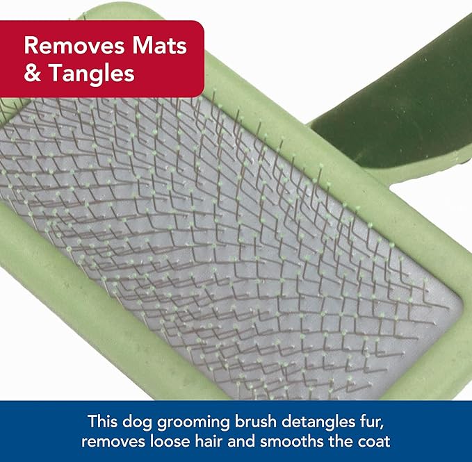 Coastal Pet Safari Dog Soft Slicker Brush - Dog Grooming Brush for Shedding - for Dogs with Short, Medium and Long Hair - Small - 6.5" x 2.5"