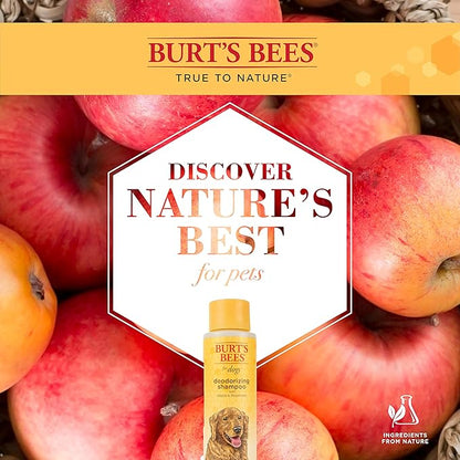 Burt's Bees for Pets Naturally Derived Deodorizing Dog Shampoo with Apple & Rosemary - Dog Shampoo For Odors - Cruelty Free, Formulated without Sulfates and Parabens, Made in USA, 16 Oz - 2 Pack