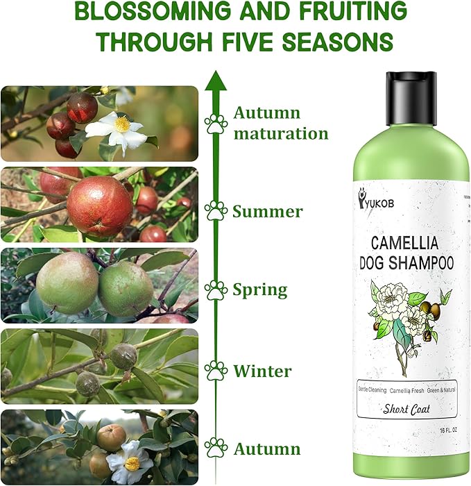 Dog Shampoo for Allergies & Itching - Natural Camellia Oil Pet Shampoo for Sensitive Skin, Deshedding, Smooth Coat for Smelly Dogs |Effective Odor Removal | 16 oz