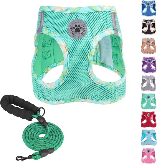 BEAUTYZOO Dog Harness and Leash Set for Small Medium Dogs,No Pull Step-in Harness for Puppy S M Sized Dogs and Cats,Air Mesh Adjustable Breathable Soft No Chock Escape Proof Vest Harnesses,Green XS